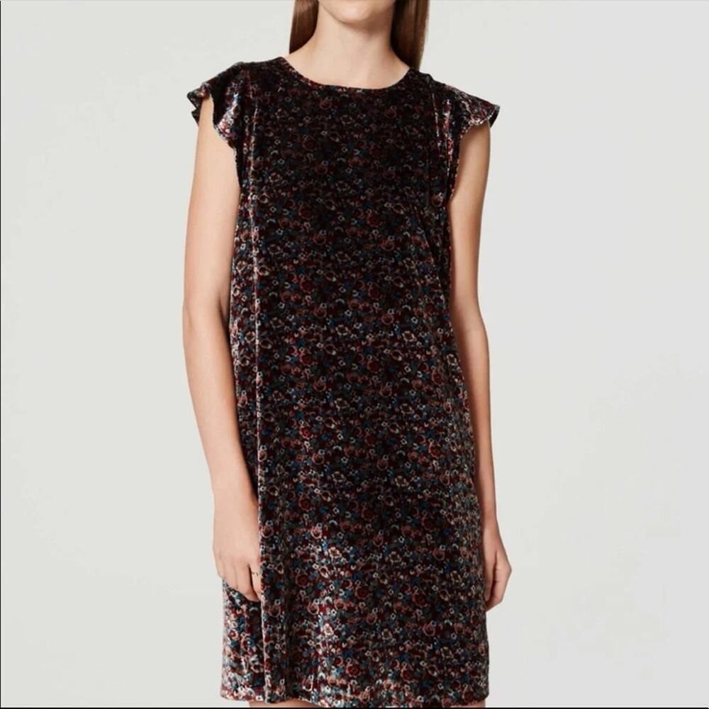 Loft dark floral velvet shift dress flutter sleeve moody floral size small